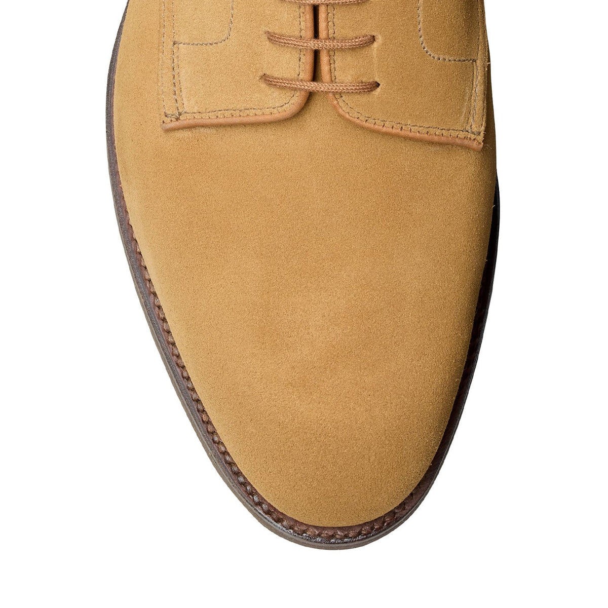 Latimer Camel Suede