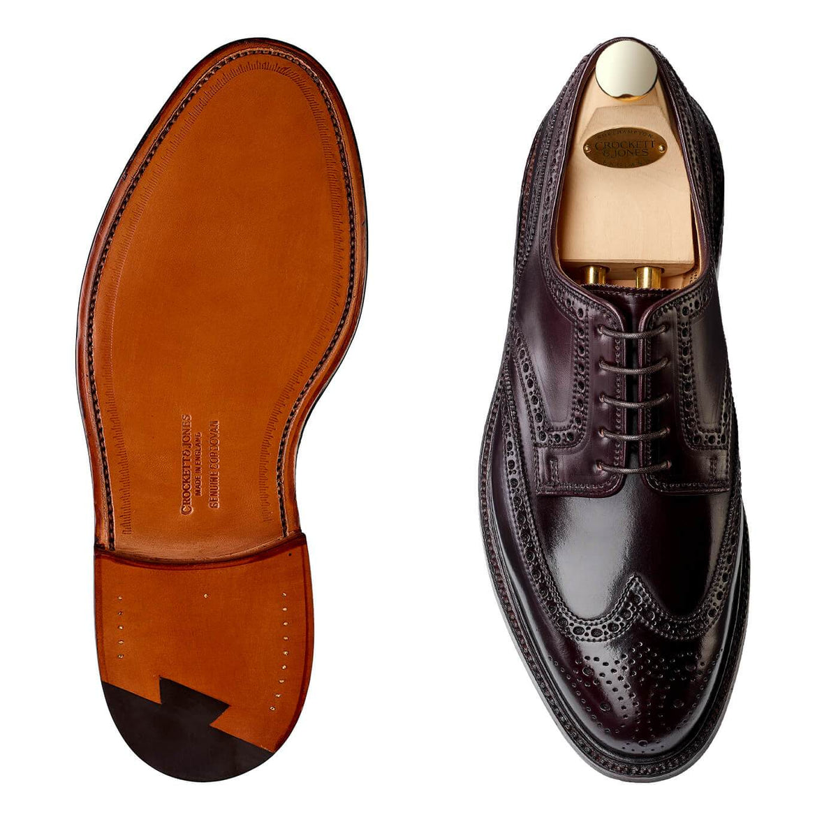 Pembroke Burgundy Cordovan